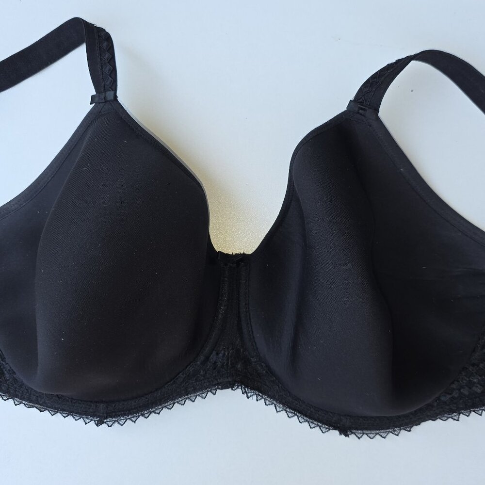 Fantasie Rebecca UW Spacer Molded Bra Black Lace FL2024BLK UK / 36G